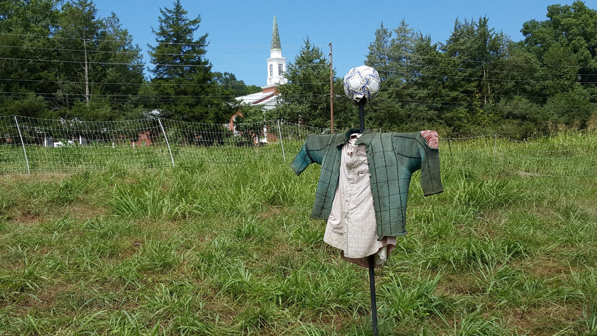 Funny Girl Farm Tour Eggs & Heirlooms! New Hope Improvement Association